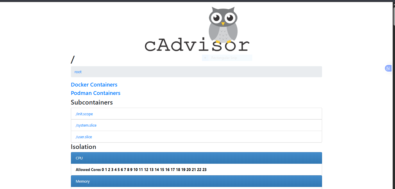cAdvisorlandingInterface